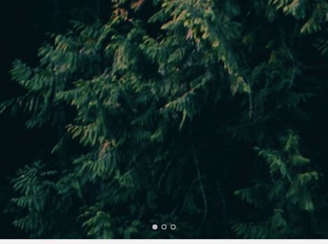 Blog Single