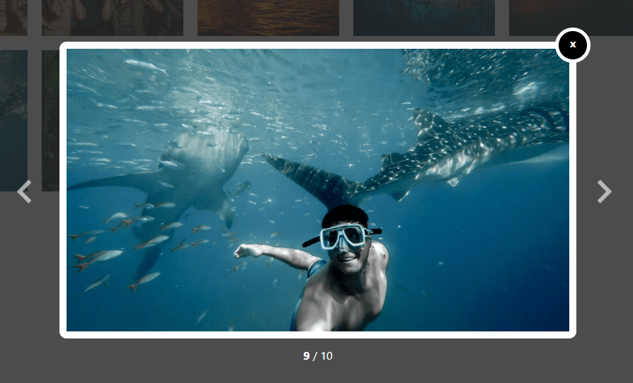 Hermosa galería de imágenes Lightbox en Vanilla JS-Gallery Box