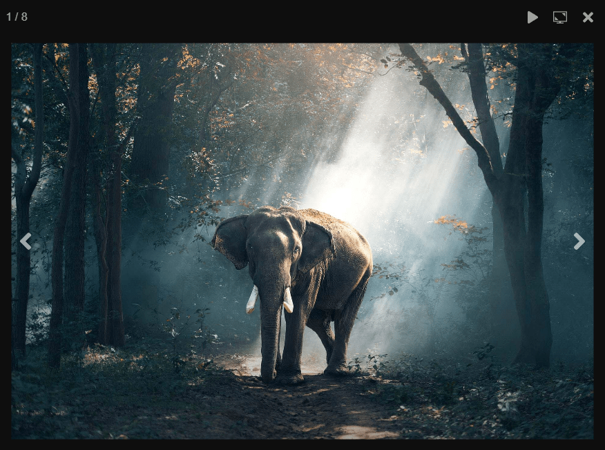 Elegante Galería de imágenes/Slider/biblioteca de carrusel-LGallery