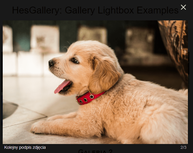 Galería adaptable compatible con dispositivos móviles-HesGallery