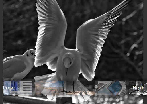 Galería de imágenes de pantalla completa JavaScript puro con navegación en miniatura