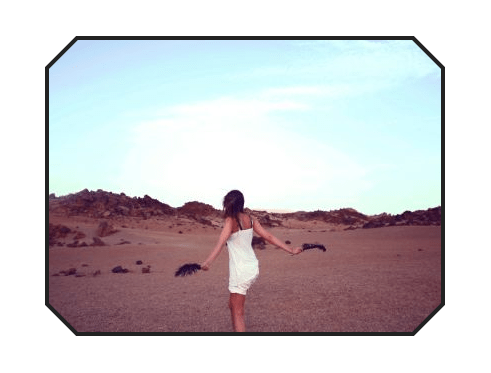 Blog Single