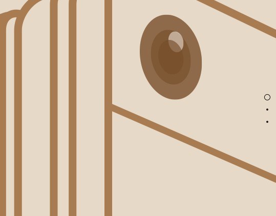 Blog Single