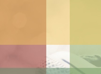 Blog Single
